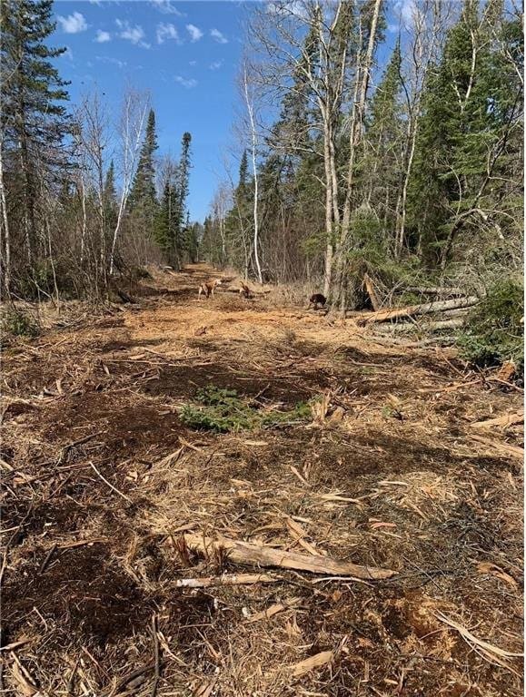 view of undeveloped land