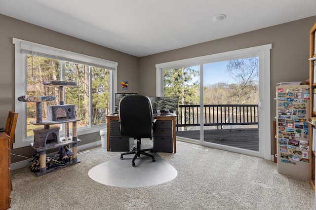 27088 130th St, Thomastown Twp, MN 56479 - office space with carpet