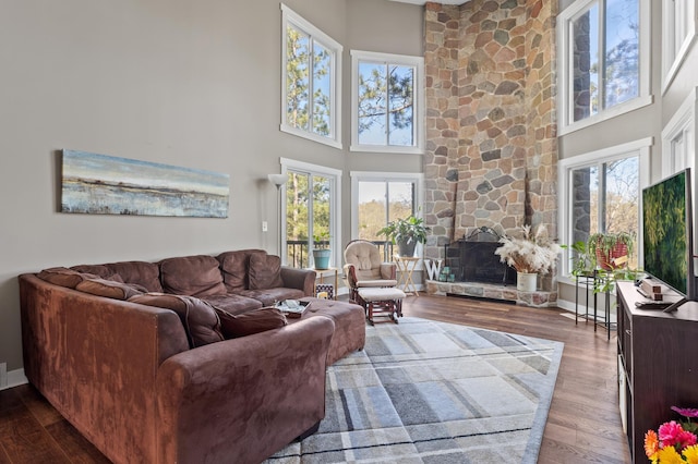 27088 130th St, Thomastown Twp, MN 56479 - living room with wood finished floors, a towering ceiling, baseboards, and a fireplace