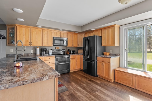 27088 130th St, Thomastown Twp, MN 56479 - kitchen with stainless steel appliances, a sink, dark wood finished floors, light brown cabinetry, and glass insert cabinets