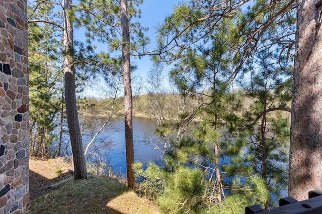 27088 130th St, Thomastown Twp, MN 56479 - water view