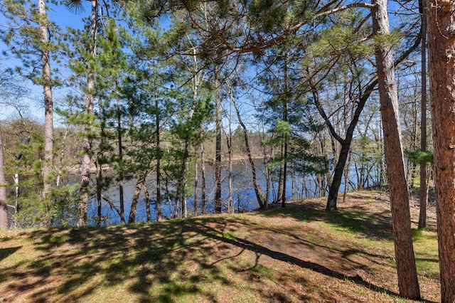 27088 130th St, Thomastown Twp, MN 56479 - water view