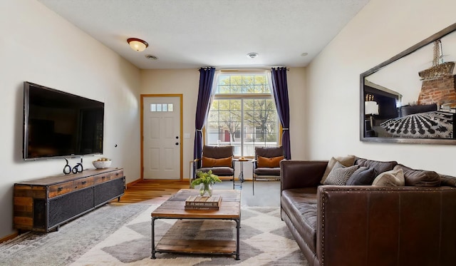 living room featuring wood finished floors
