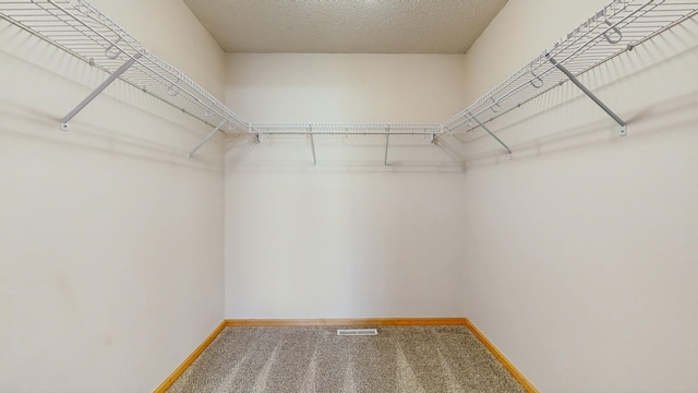 walk in closet with carpet