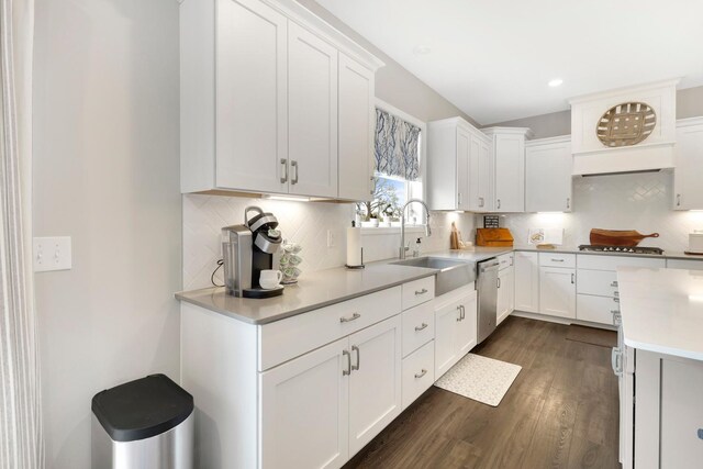 13404 Avila Ave, Rosemount, MN 55068 - kitchen with dishwasher, a sink, light countertops, dark wood finished floors, and tasteful backsplash