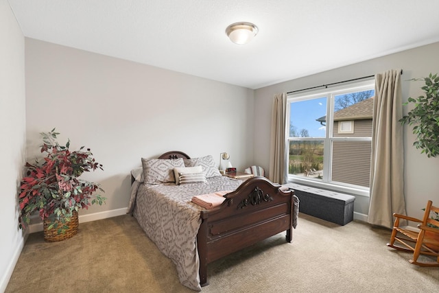 13404 Avila Ave, Rosemount, MN 55068 - bedroom with light colored carpet and baseboards