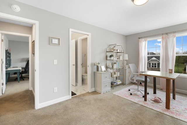 13404 Avila Ave, Rosemount, MN 55068 - home office featuring light colored carpet and baseboards