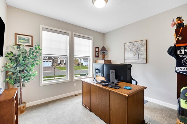 13404 Avila Ave, Rosemount, MN 55068 - office area featuring baseboards and light carpet