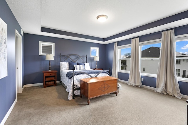 13404 Avila Ave, Rosemount, MN 55068 - bedroom with carpet flooring and a raised ceiling