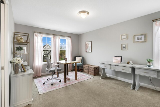 13404 Avila Ave, Rosemount, MN 55068 - carpeted office featuring baseboards