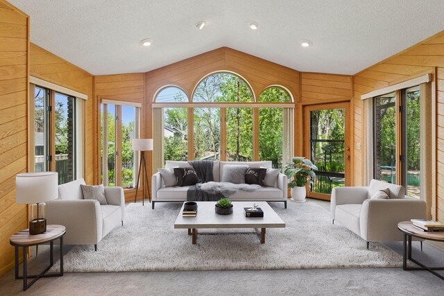5212 Colonial Dr, Golden Valley, MN 55416 - living room featuring wood walls, vaulted ceiling, a textured ceiling, and carpet flooring