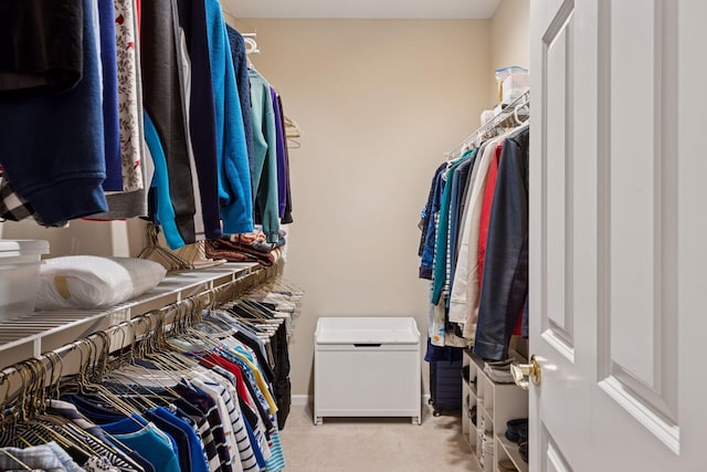17462 Haralson Dr, Eden Prairie, MN 55347 - spacious closet featuring light carpet