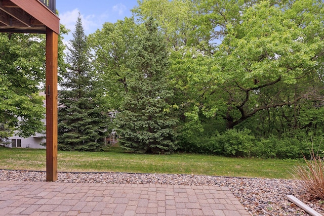 17462 Haralson Dr, Eden Prairie, MN 55347 - view of patio / terrace