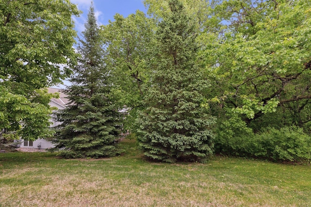17462 Haralson Dr, Eden Prairie, MN 55347 - view of grassy yard