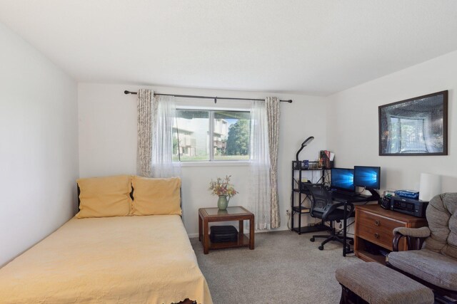 5624 Brookdale Dr N, Brooklyn Park, MN 55443 - carpeted bedroom featuring a desk