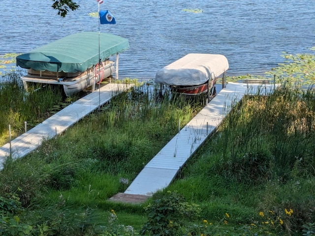2221 Reubens Ln SW Unit 46, Farwell, MN 56327 - view of dock area