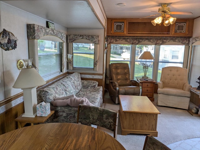 2221 Reubens Ln SW Unit 46, Farwell, MN 56327 - living room featuring carpet and a ceiling fan