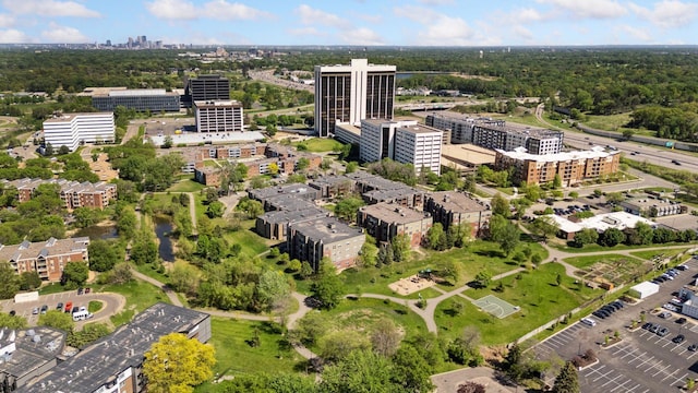 450 Ford Rd Unit 231, Saint Louis Park, MN 55426 - view of urban area