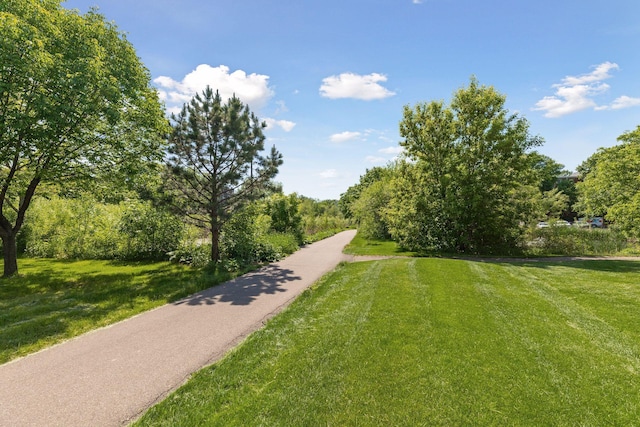 450 Ford Rd Unit 231, Saint Louis Park, MN 55426 - view of community featuring a yard and a view of trees