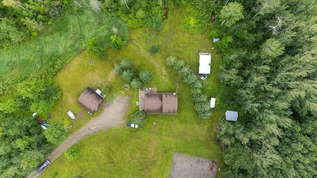 35318 Rice Rapids Rd, Bigfork Twp, MN 56628 - aerial view