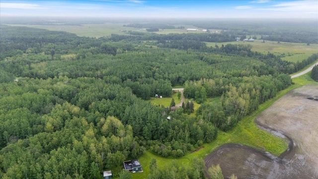 35318 Rice Rapids Rd, Bigfork Twp, MN 56628 - view of property location with a forest