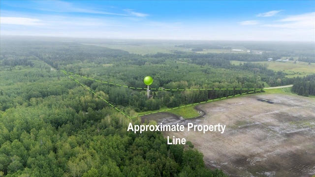 35318 Rice Rapids Rd, Bigfork Twp, MN 56628 - drone / aerial view of a forest