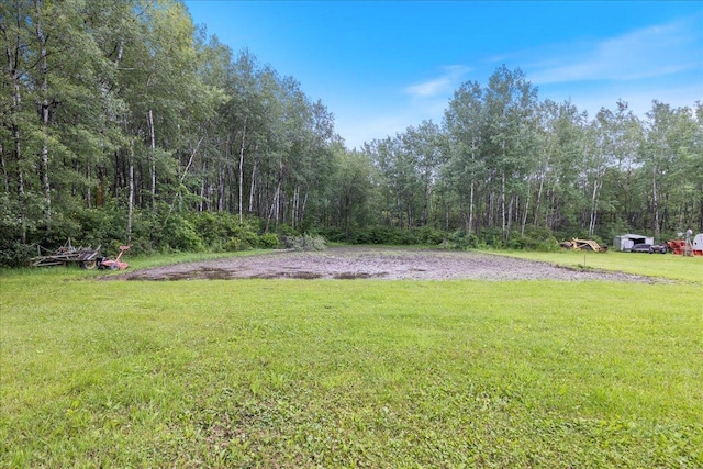 35318 Rice Rapids Rd, Bigfork Twp, MN 56628 - view of grassy yard with a forest view