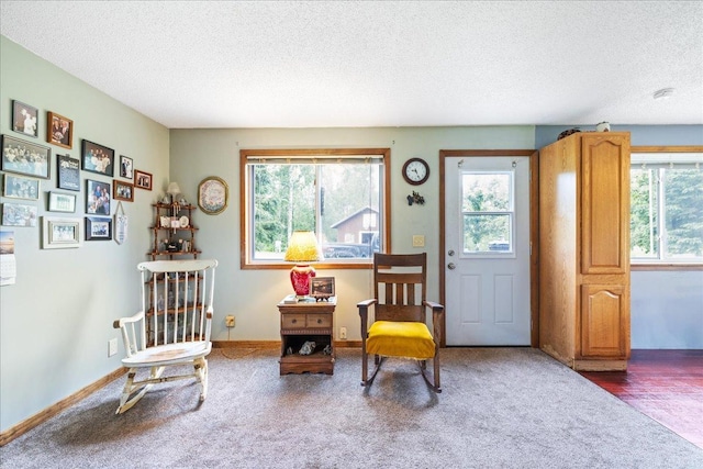 35318 Rice Rapids Rd, Bigfork Twp, MN 56628 - living area featuring a textured ceiling, carpet flooring, and baseboards