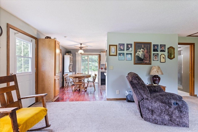35318 Rice Rapids Rd, Bigfork Twp, MN 56628 - living room with carpet floors, a textured ceiling, baseboards, and ceiling fan