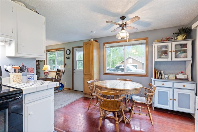 35318 Rice Rapids Rd, Bigfork Twp, MN 56628 - kitchen with black electric range oven, tile counters, ceiling fan, white cabinetry, and a textured ceiling