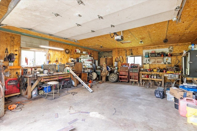 35318 Rice Rapids Rd, Bigfork Twp, MN 56628 - garage featuring a workshop area and a garage door opener