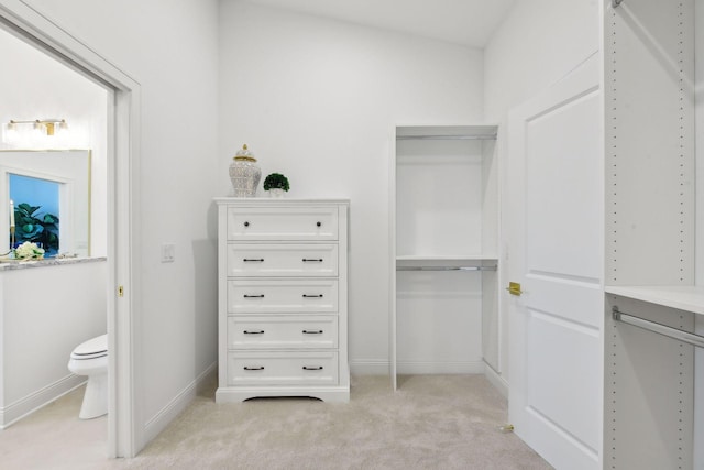 walk in closet with light carpet