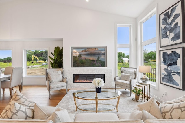 living area featuring vaulted ceiling, wood finished floors, and a fireplace