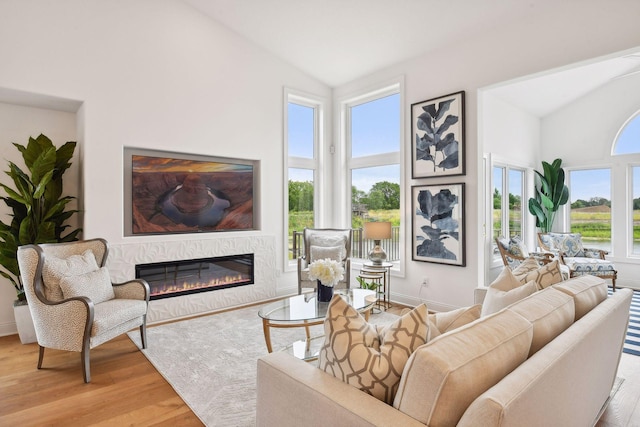 living room featuring a fireplace, wood finished floors, and high vaulted ceiling