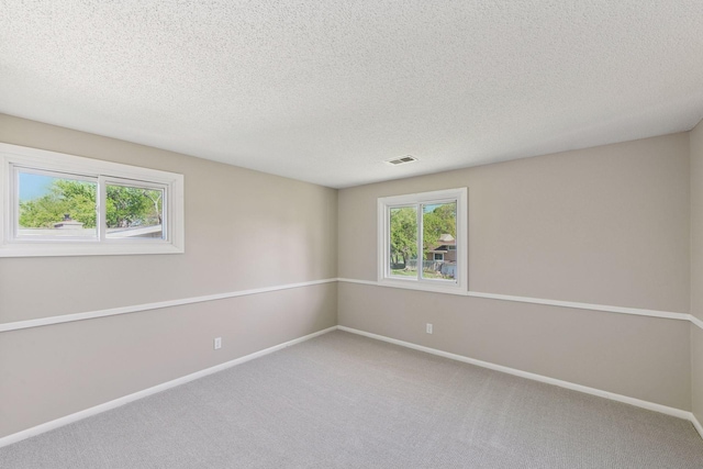 550 Wheeler Dr, Excelsior, MN 55331 - carpeted empty room featuring plenty of natural light, a textured ceiling, and baseboards