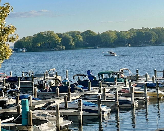 550 Wheeler Dr, Excelsior, MN 55331 - dock featuring a water view