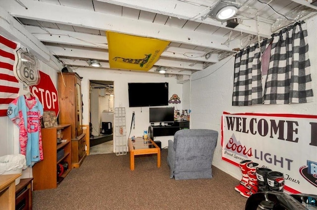 rec room featuring carpet flooring
