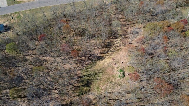 LOTS4, 5 Anderson Hill Ln, Boyceville, WI 54725