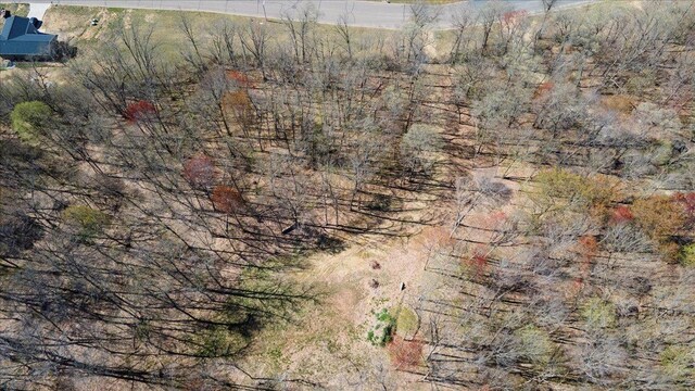 LOTS4, 5 Anderson Hill Ln, Boyceville, WI 54725