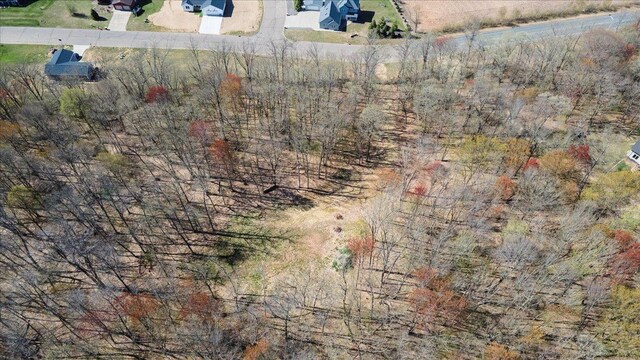LOTS4, 5 Anderson Hill Ln, Boyceville, WI 54725