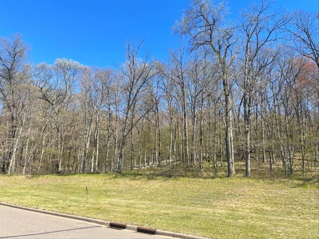 LOTS4, 5 Anderson Hill Ln, Boyceville, WI 54725