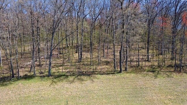 LOTS4, 5 Anderson Hill Ln, Boyceville, WI 54725