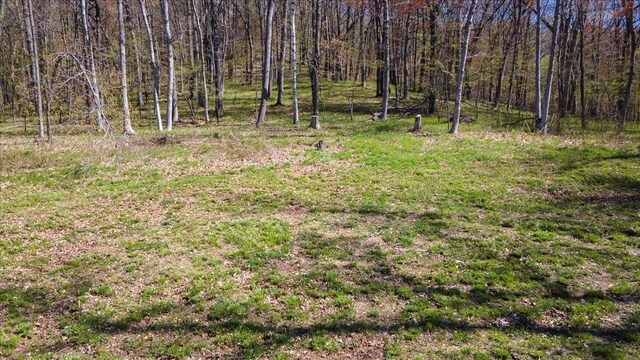 LOTS4, 5 Anderson Hill Ln, Boyceville, WI 54725