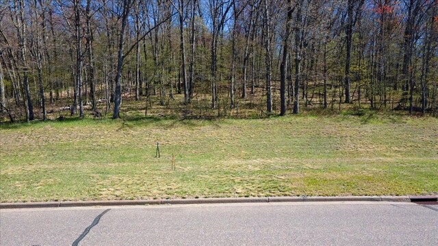 LOTS4, 5 Anderson Hill Ln, Boyceville, WI 54725