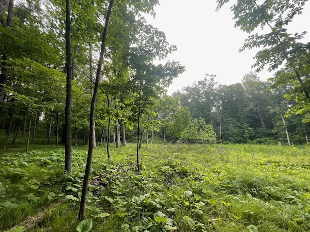 LOTS4, 5 Anderson Hill Ln, Boyceville, WI 54725