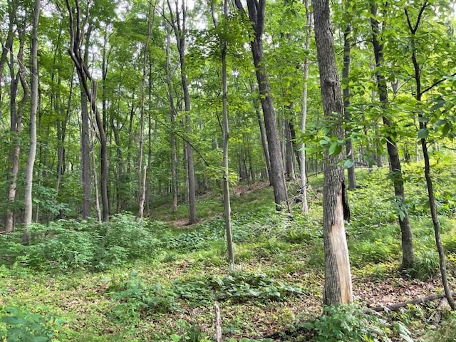 LOTS4, 5 Anderson Hill Ln, Boyceville, WI 54725