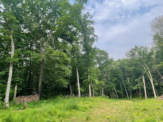 LOTS4, 5 Anderson Hill Ln, Boyceville, WI 54725