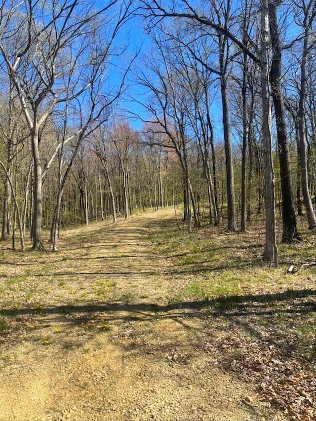 LOTS4, 5 Anderson Hill Ln, Boyceville, WI 54725
