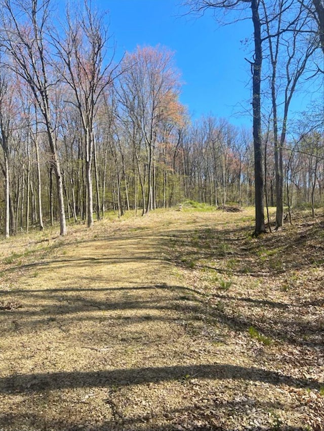 LOTS4, 5 Anderson Hill Ln, Boyceville, WI 54725