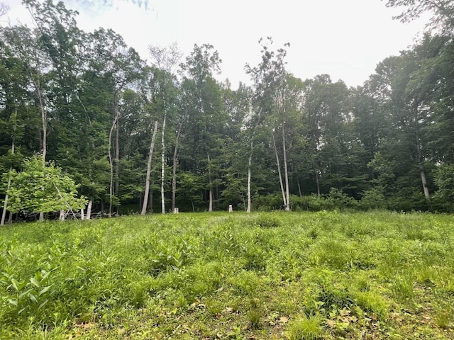 LOTS4, 5 Anderson Hill Ln, Boyceville, WI 54725